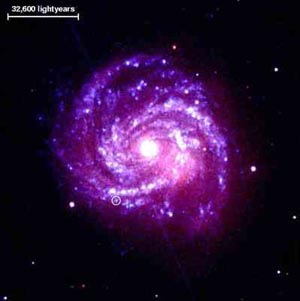 xmm-newton uv image of supernova in M100